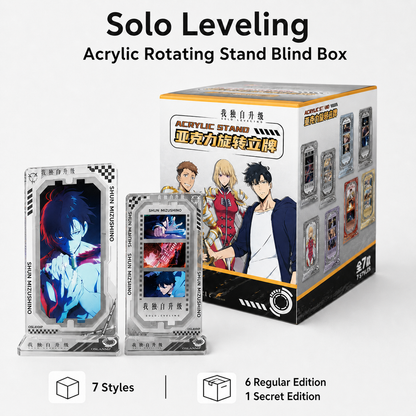 Solo Leveling - Rotating Double-Sided Acrylic Stand